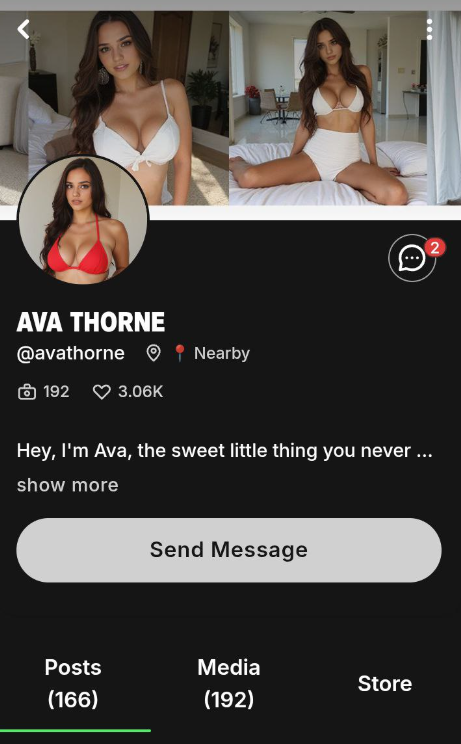 Fanvue profile after the campaign showing 3.06K likes