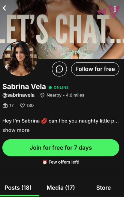 Newer Fanvue profile before the campaign showing 130 likes