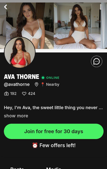 Fanvue profile before the campaign showing 424 likes